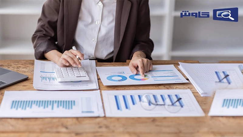 انواع گزارشات حسابداری