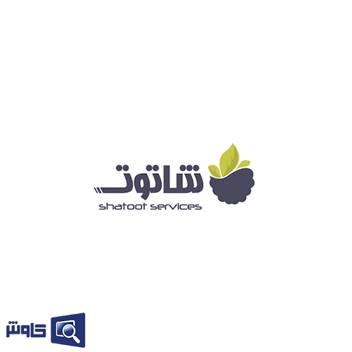 نرم افزار حسابداری کارواش شاتوت