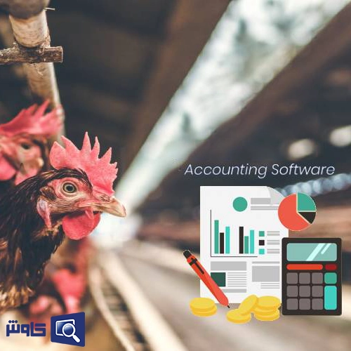 نرم افزار حسابداری مرغداری