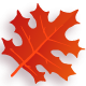 pack-badge